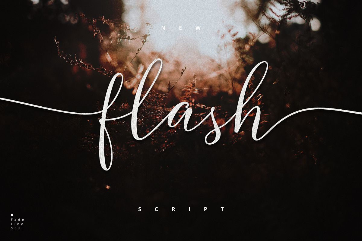 Flash Script - Update Latin Pro! example image 1