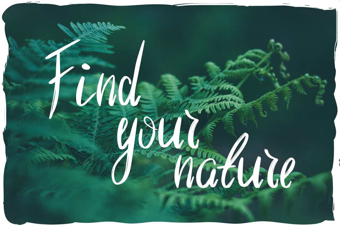 Wild Nature Script Typeface example image 1