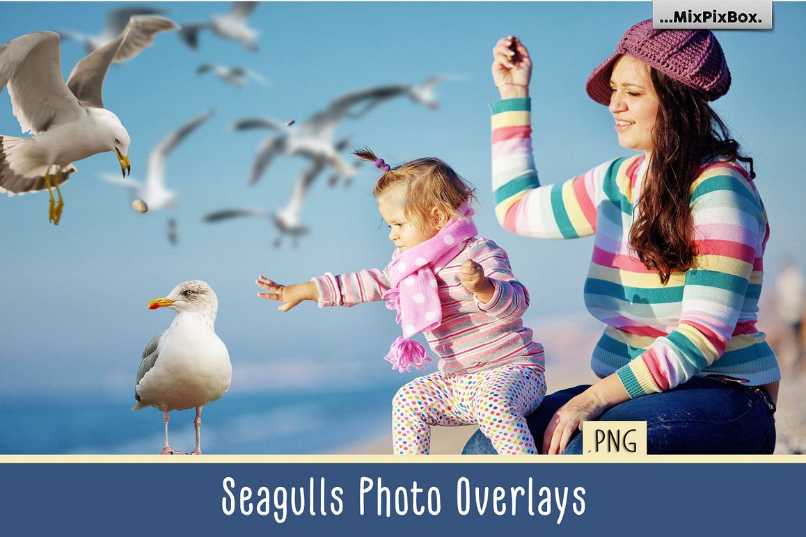 Seagulls Photo Overlays example image 1