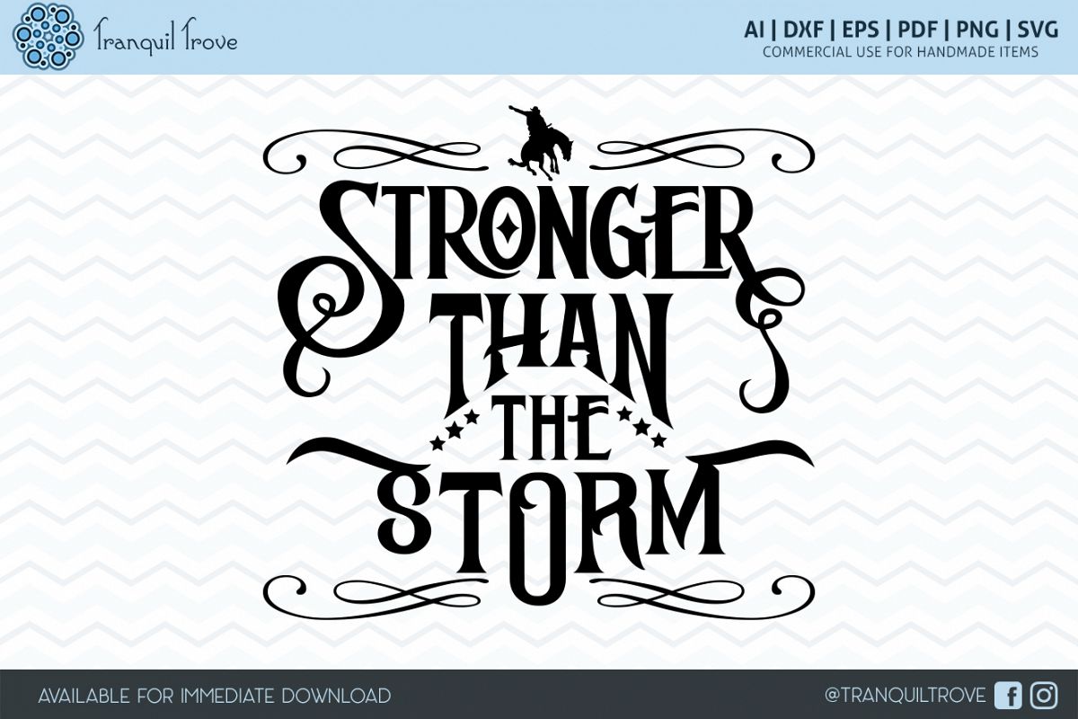 Stronger Than the Storm example image 1