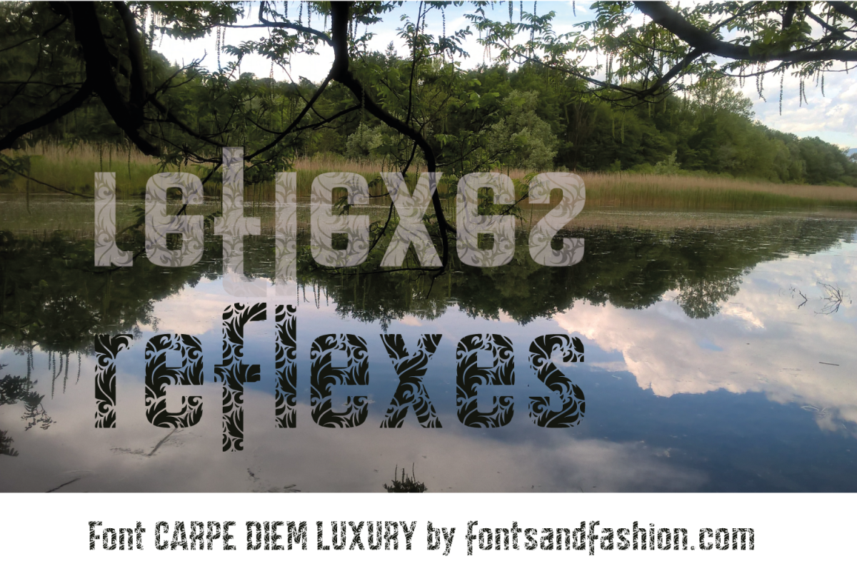 CARPE DIEM LUXURY example image 1
