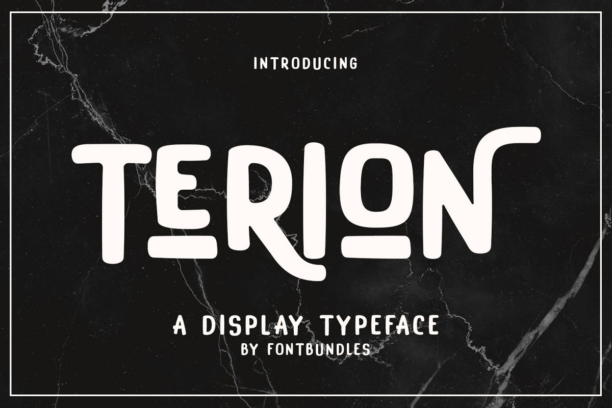 Terion example image 1