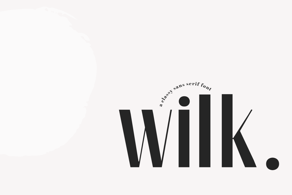 Wilk - A Classy Sans Serif Font example image 1