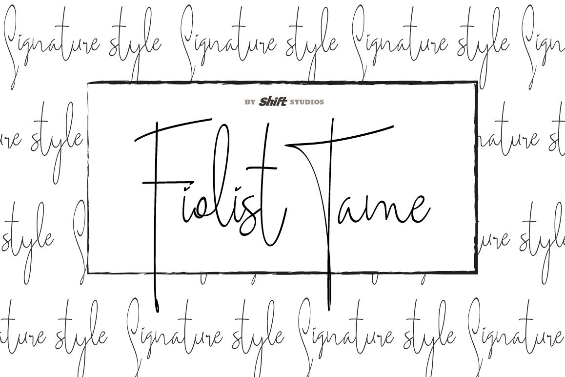 Fiolist Tame Typeface example image 1