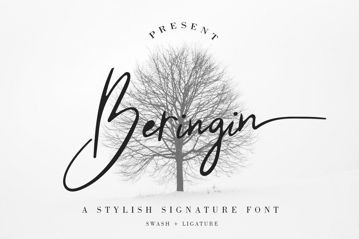 Beringin Stylish Signature Font example image 1