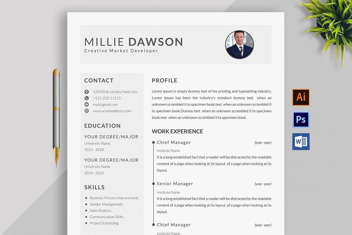Professional Cv Resume Bonus business card Word/PSD,AI example image 1