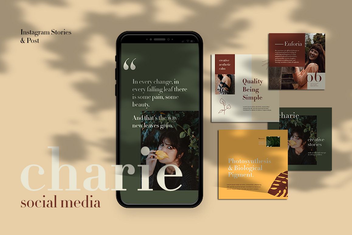 Charies Instagram Templates example image 1