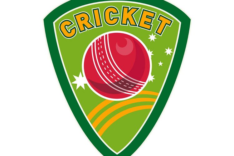 cricket sports ball shield stars example image 1