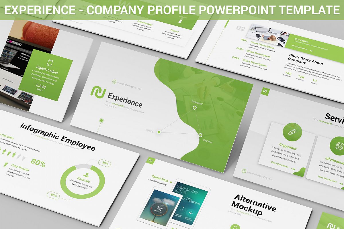 Experience profile. Шаблон профайла компании. Company profile POWERPOINT. Профиль компании. Company profile.