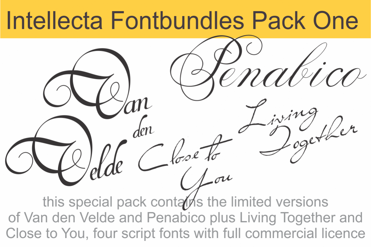 Intellecta Fontbundles Pack One example image 1