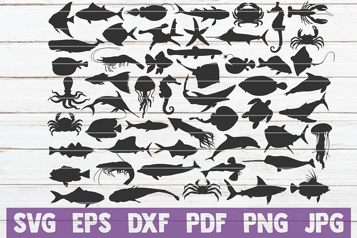 Ocean Creatures SVG Cut Files | commercial use example image 1
