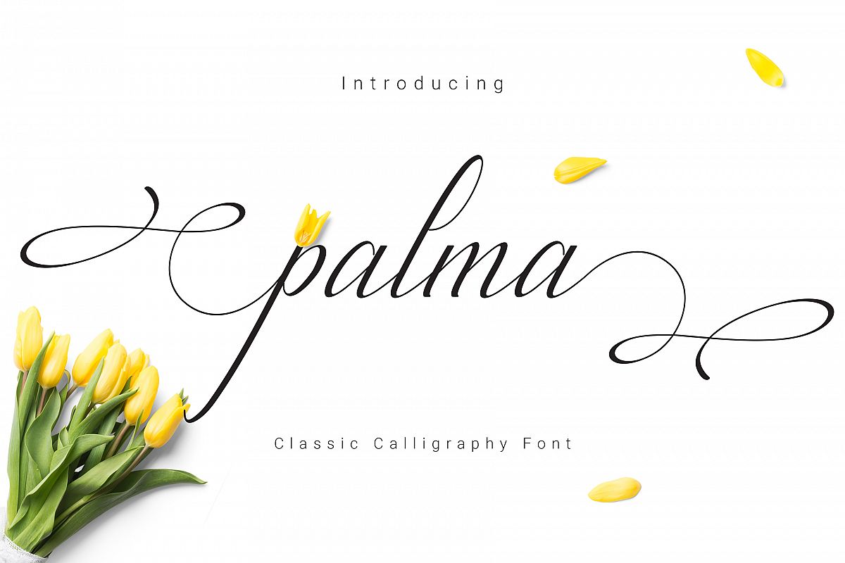 Palma Script example image 1
