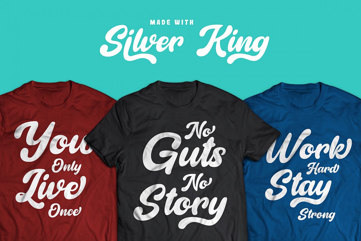 Silver King - Script Font example image 1