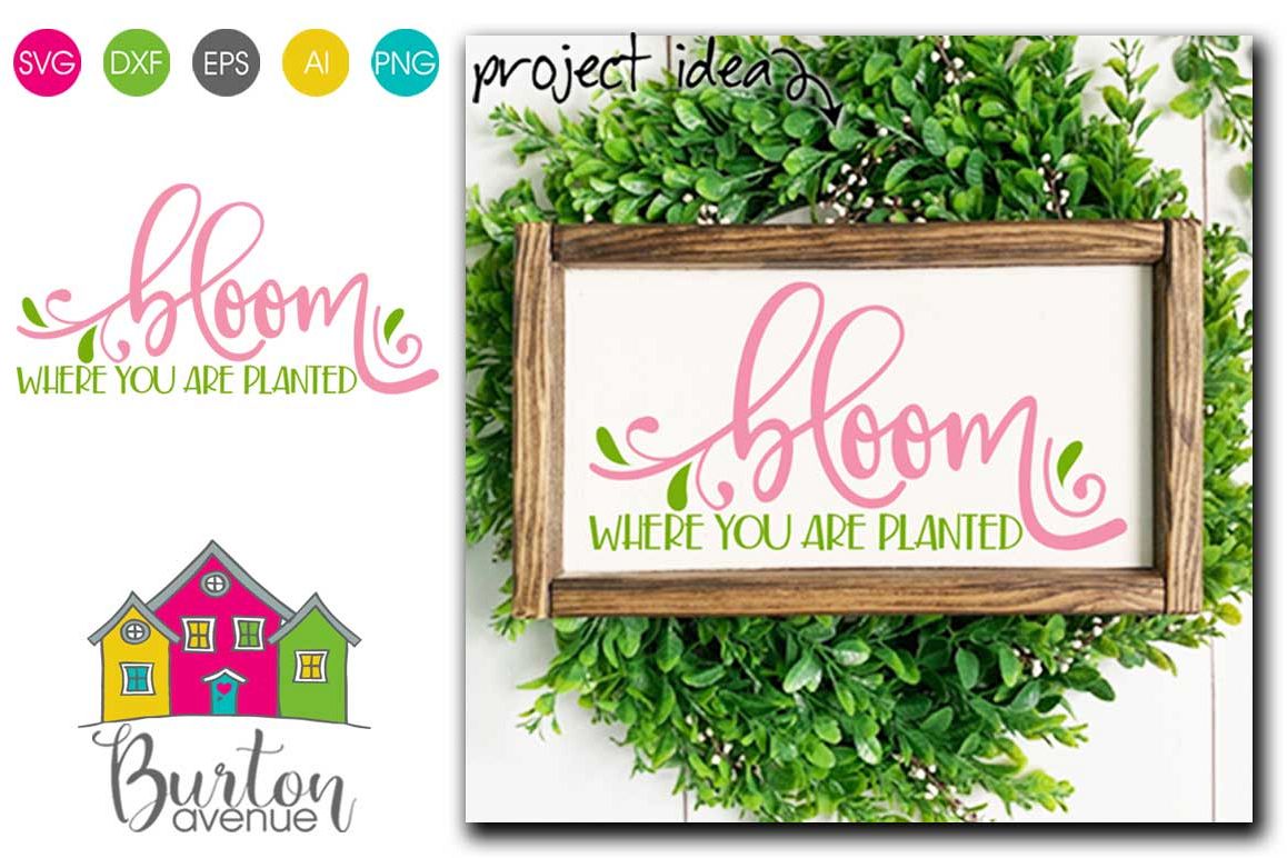 Bloom Where You are Planted SVG file for Spring example image 1
