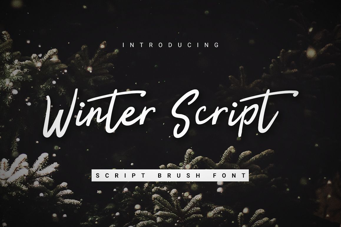 Winter Script example image 1