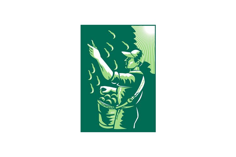 Fruit Picker Picking Pear Fruit Retro Style example image 1
