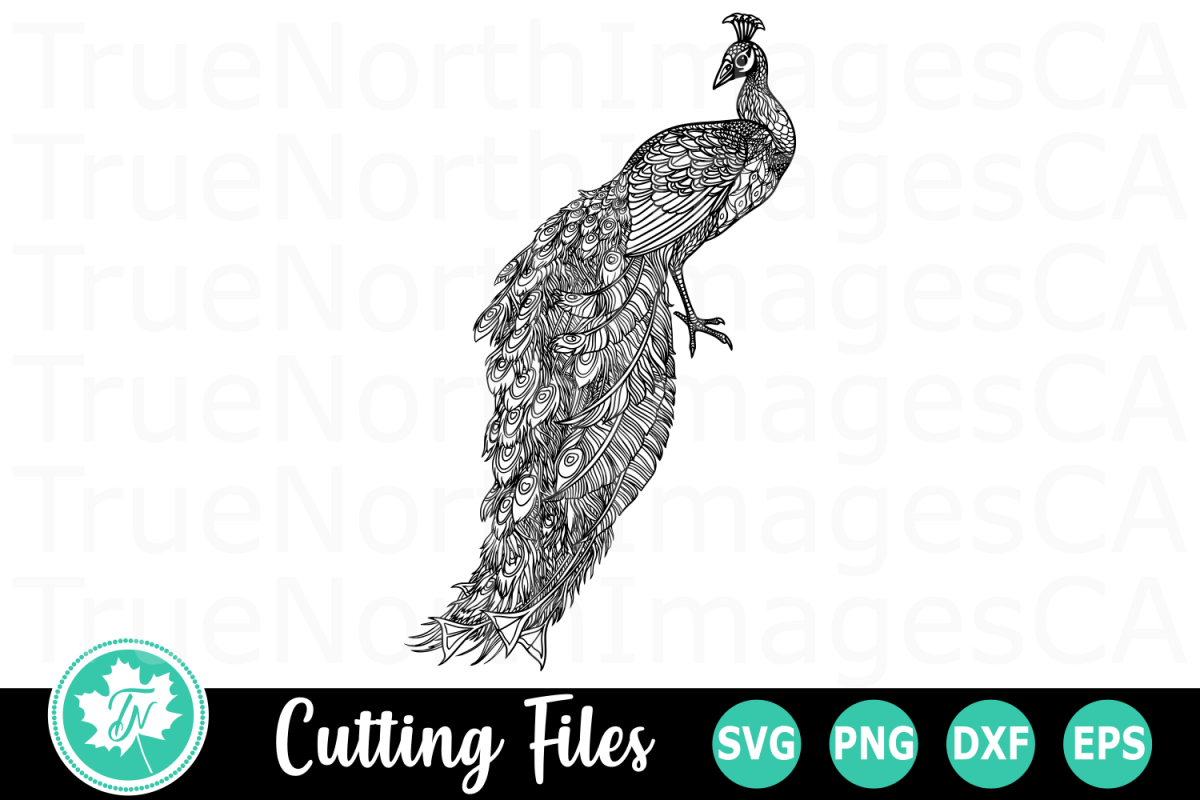 Peacock - A Zentangle SVG Cut File example image 1