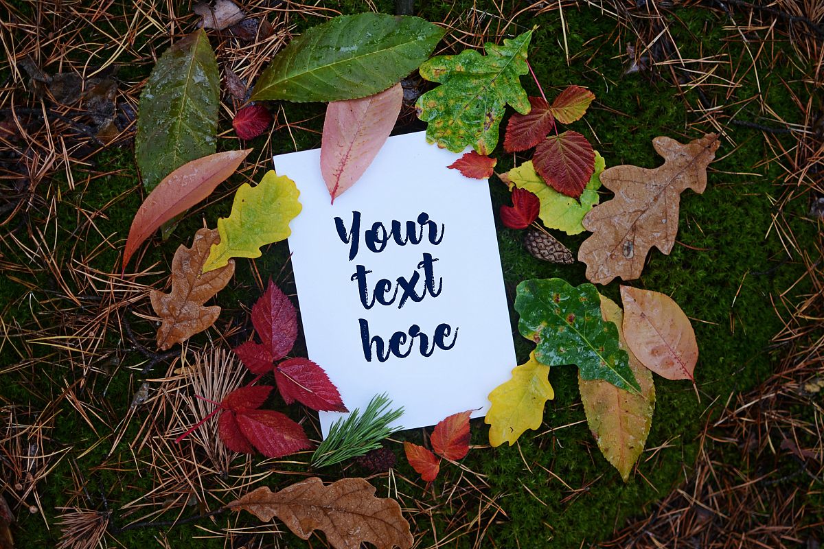 Autumn Mockups (Horizontal+Vertical) example image 1