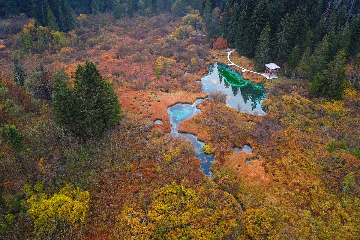 Zelenci springs on an autumn day example image 1