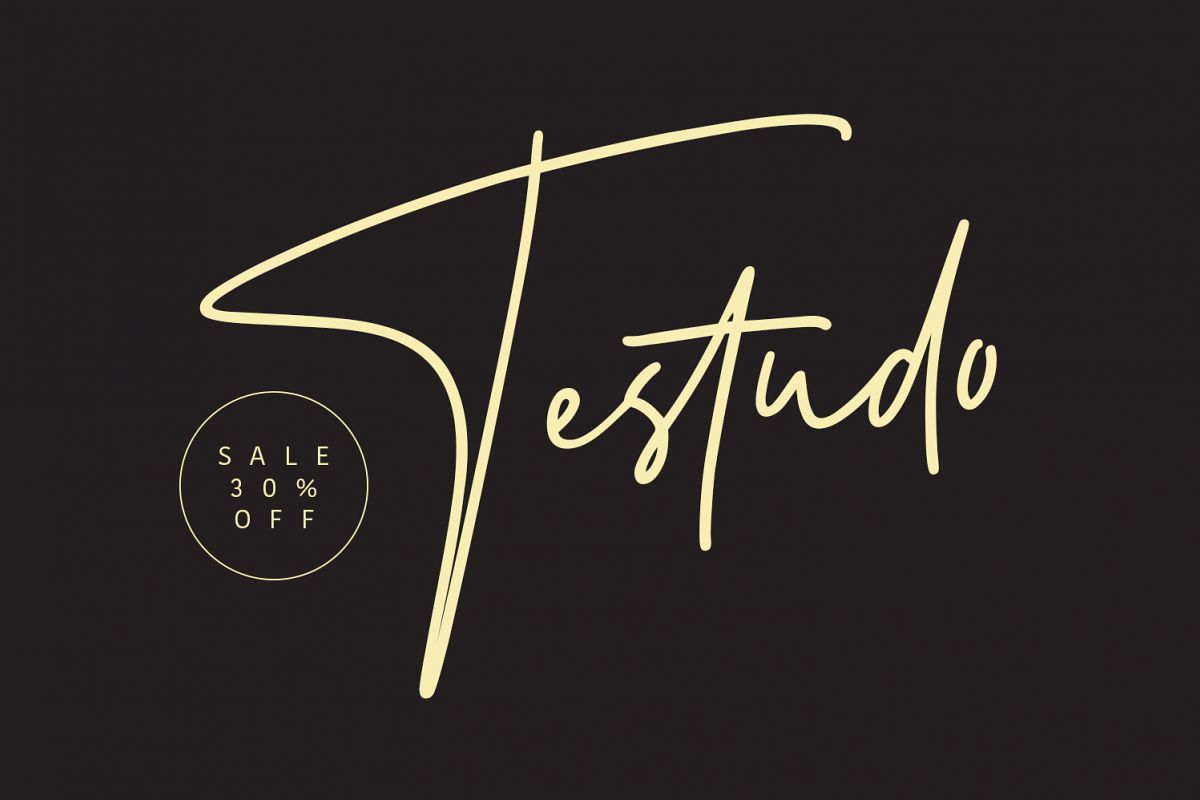 Testudo Signature Font example image 1