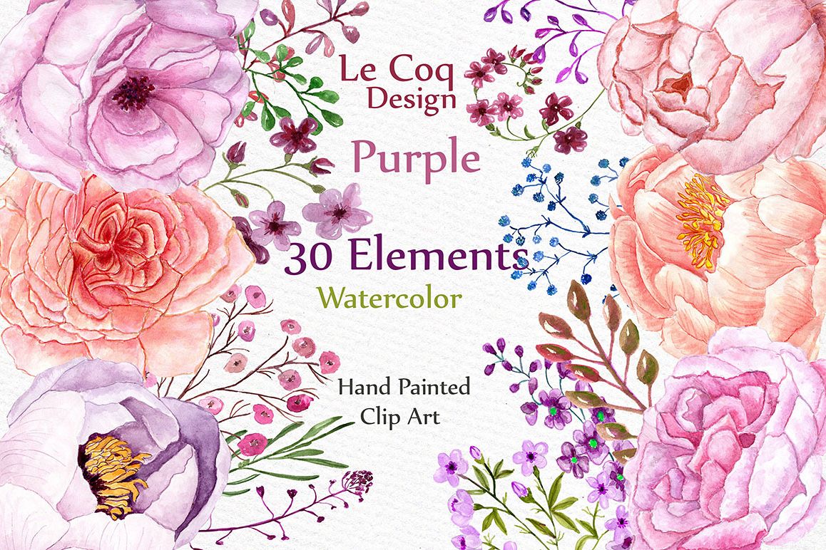 Watercolor peonies flower clipart example image 1