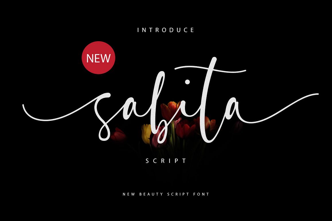 Sabita Script example image 1