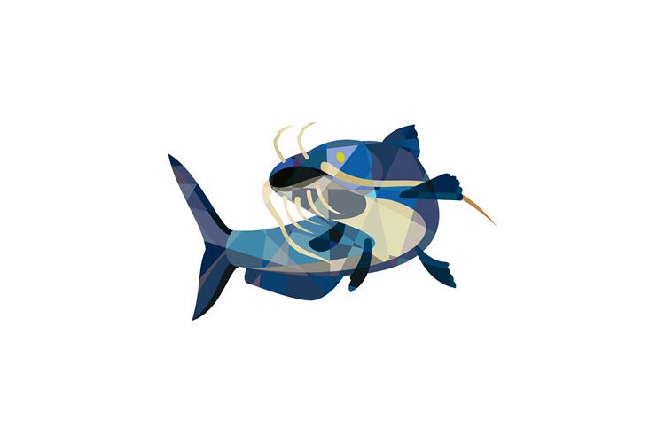 Catfish Mud Cat Looking Up Low Polygon example image 1