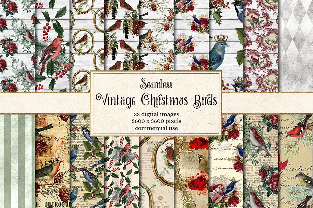 Vintage Christmas Birds Digital Paper example image 1