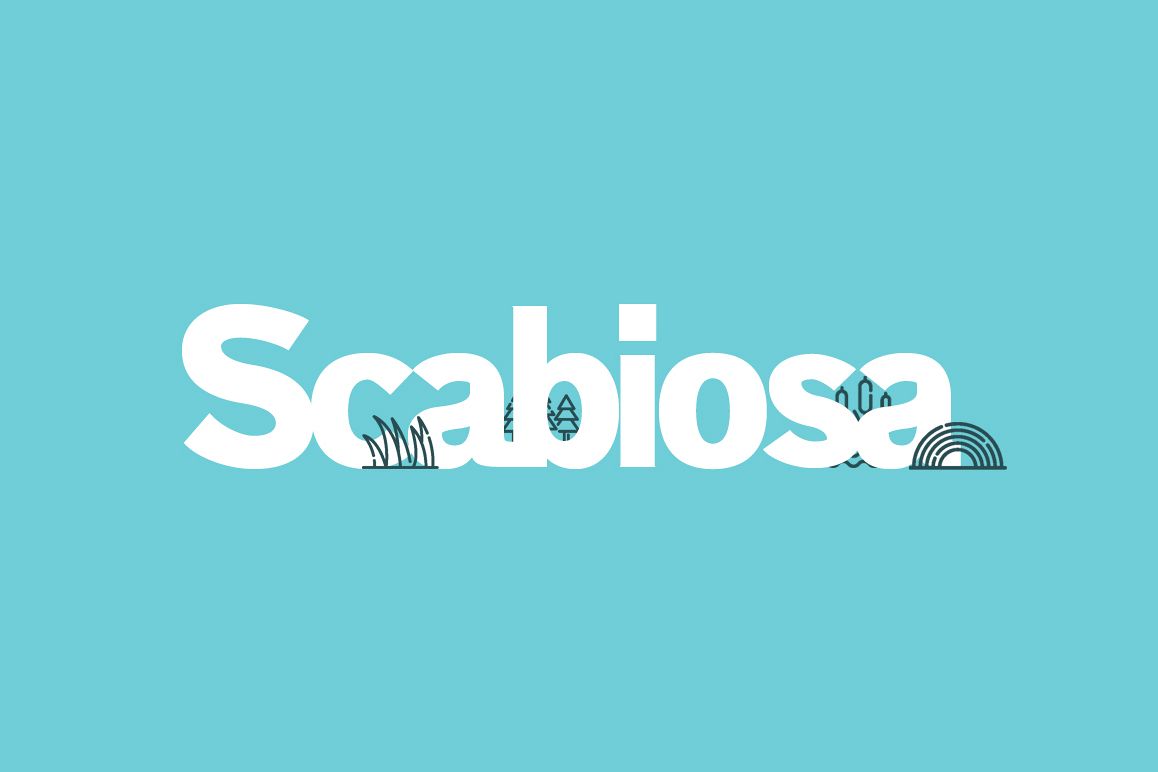Scabiosa example image 1