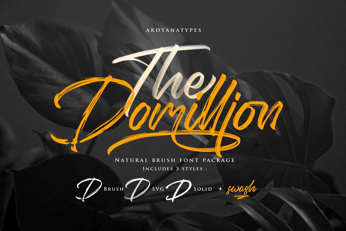 Domillion Brush Font example image 1
