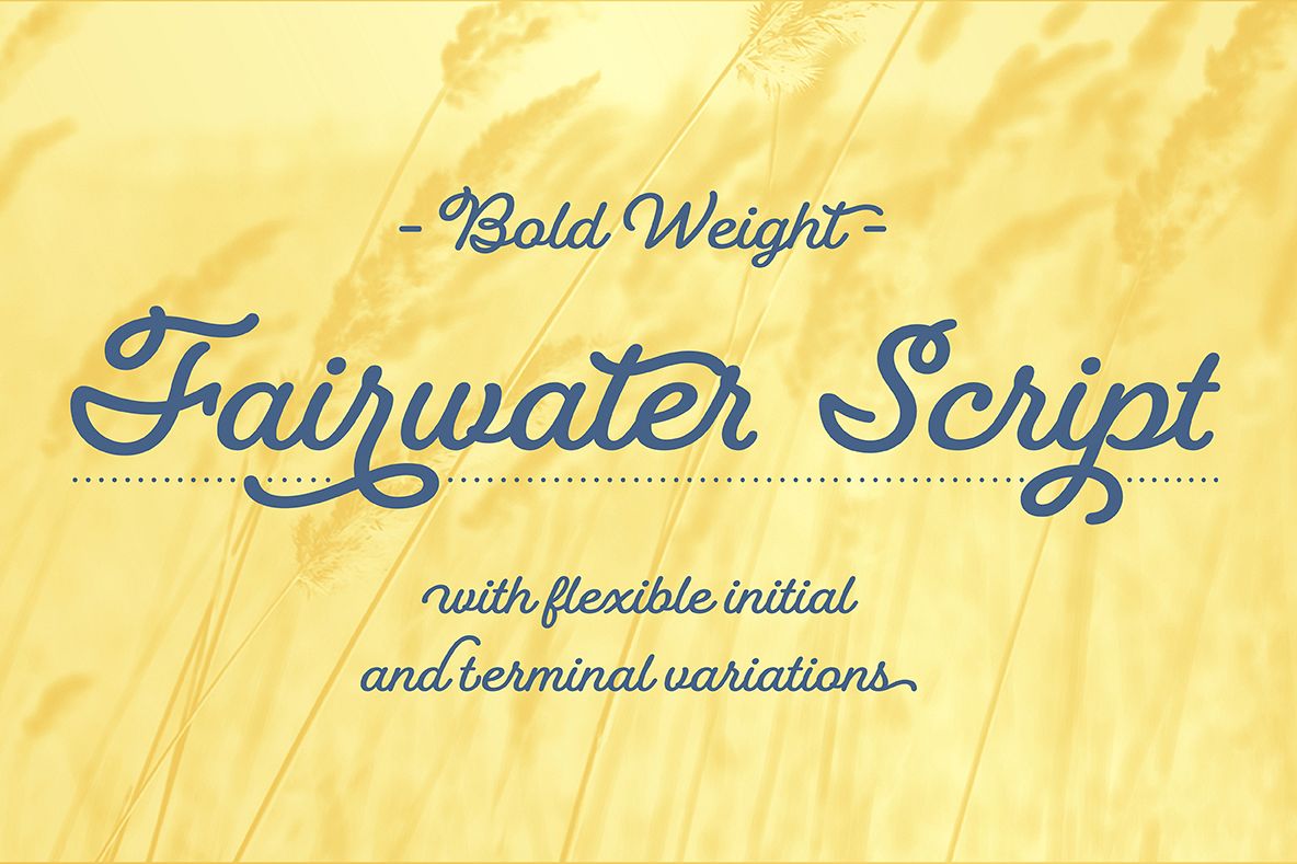 Fairwater Script Bold example image 1
