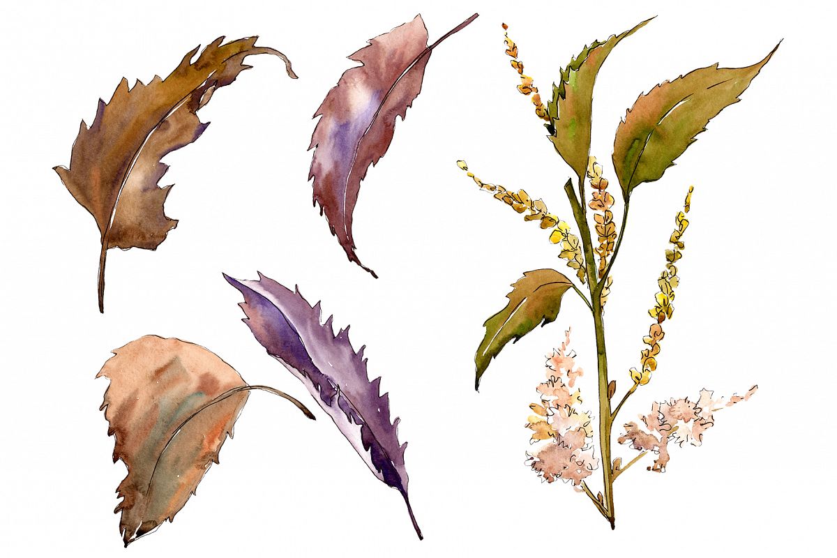 Sweet chestnut PNG watercolor leaves set example image 1