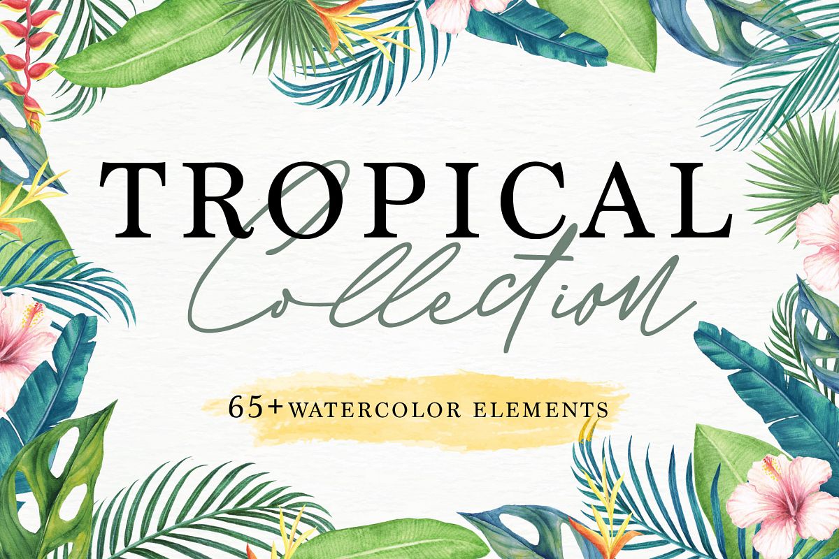Tropical Collection - 65 Watercolor Elements example image 1