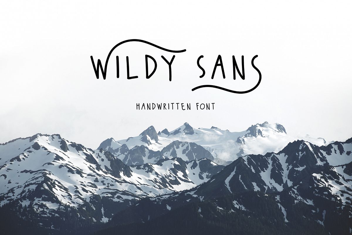 Wildy Sans example image 1