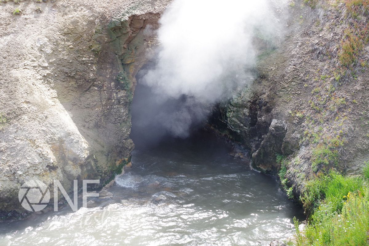 Yellowstone National Park Mud Bog Geyser Stock Photo example image 1