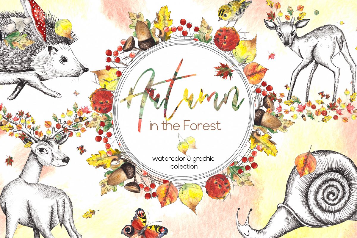 Autumn in the Forest. Watercolor collection example image 1