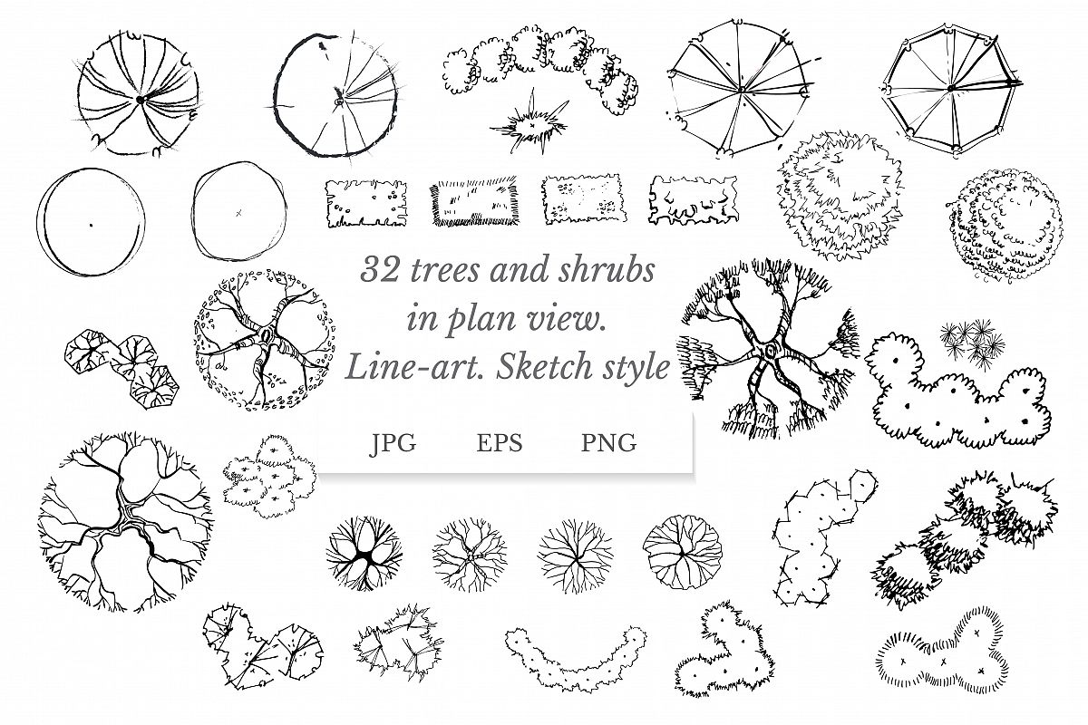 Set of 32 trees and shrubs in plan view. Sketch style. (95068