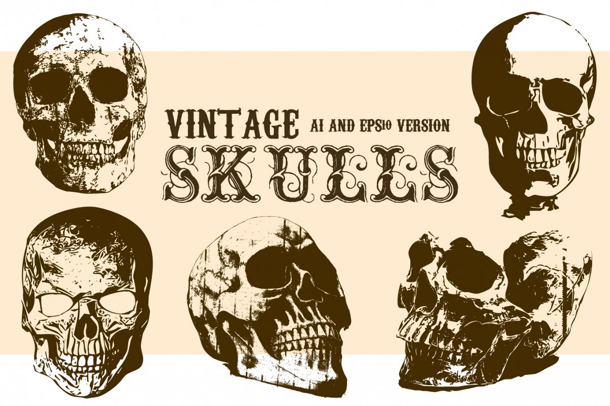 Realistic Vector Skull Pack example image 1
