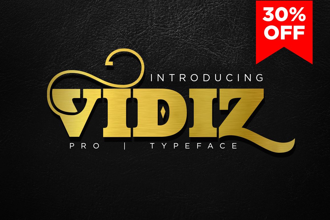 VIDIZ PRO Typeface example image 1