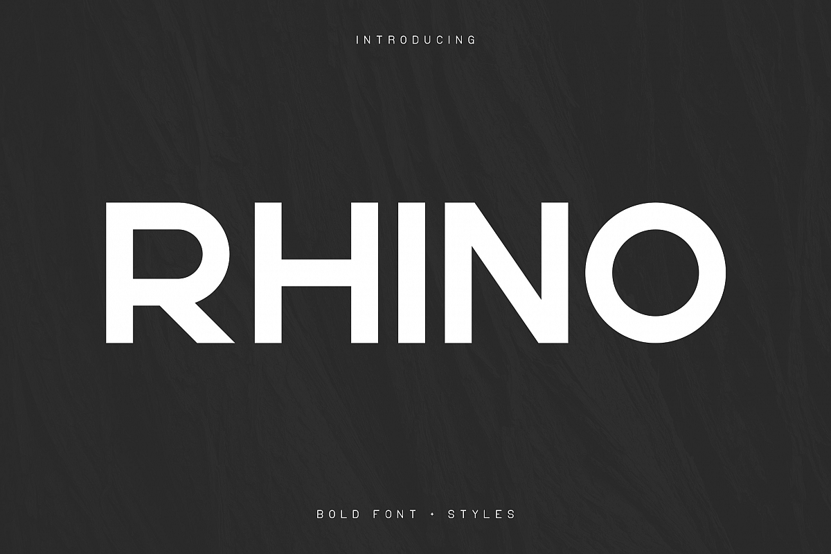 Rhino Bold font Styles example image 1
