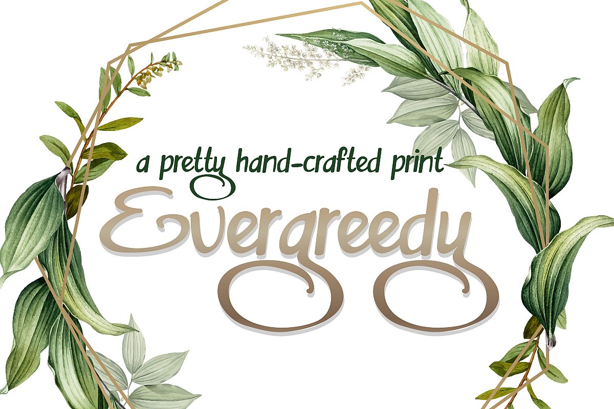 PN Evergreedy example image 1