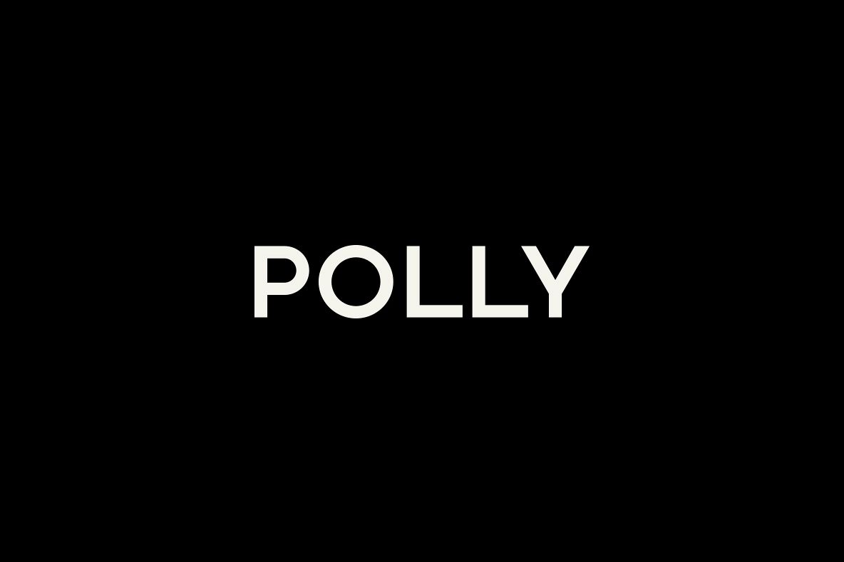 Polly example image 1