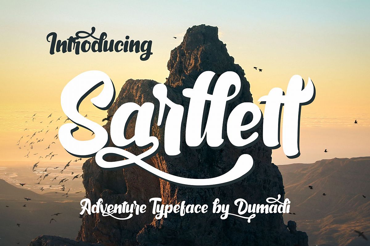 Sarllett example image 1
