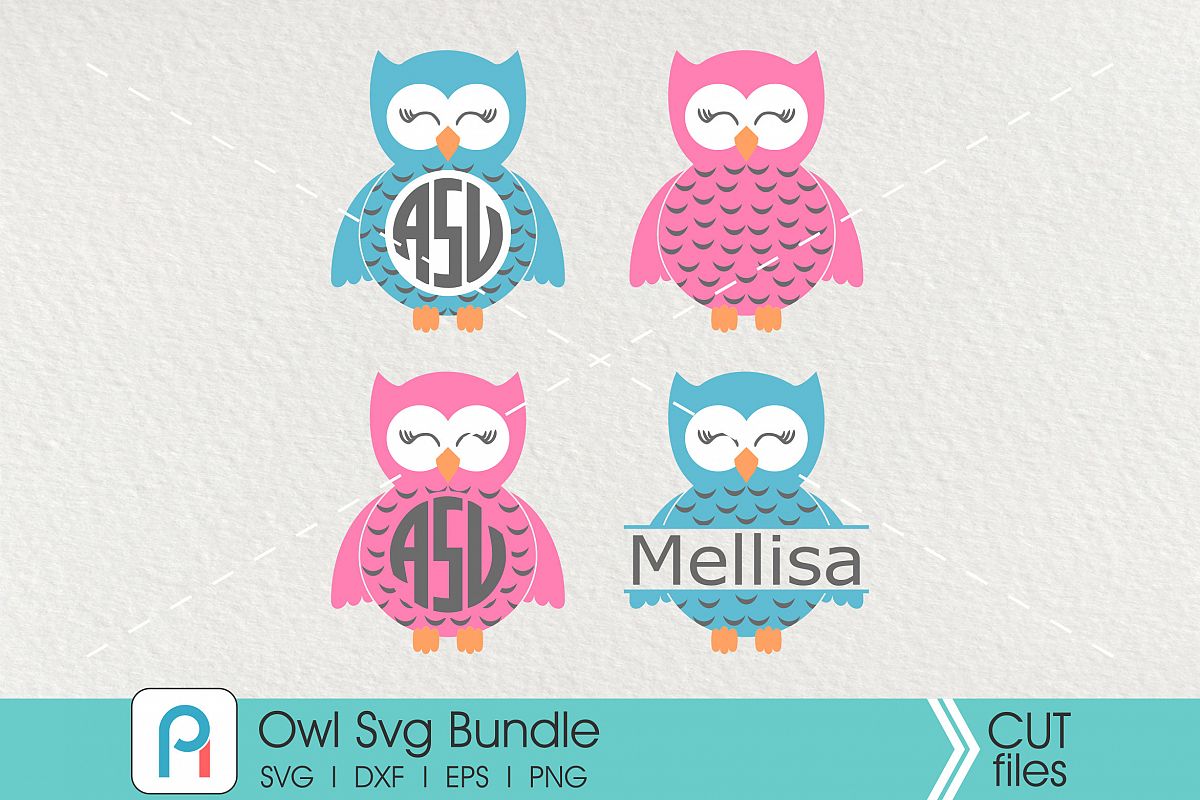 Owl Svg Bundle - owl vector cut files example image 1