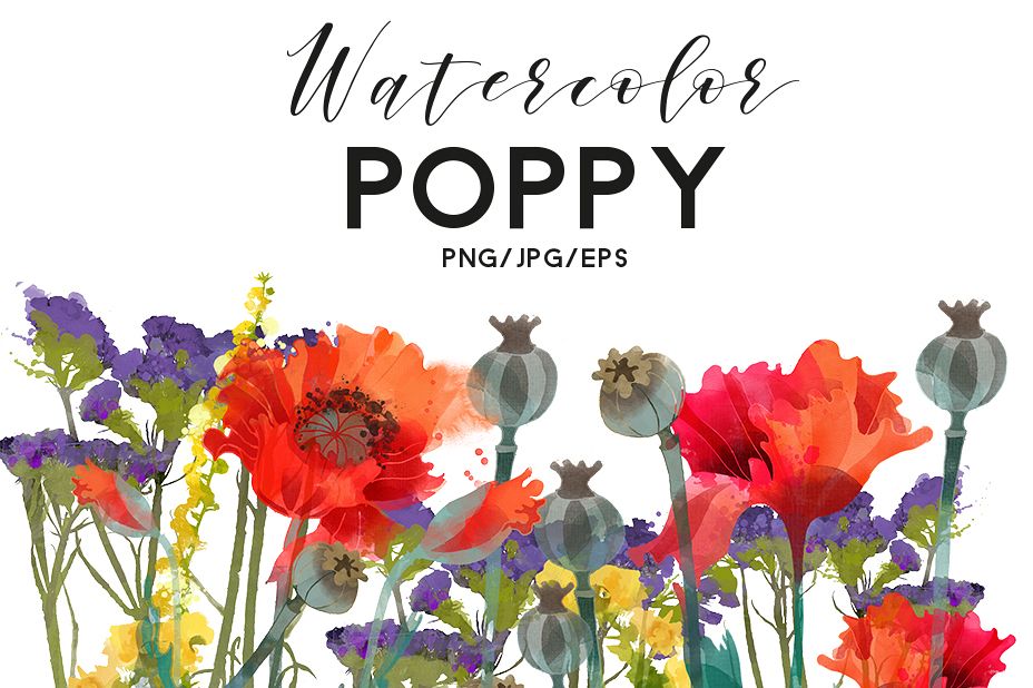 Watercolor poppy example image 1