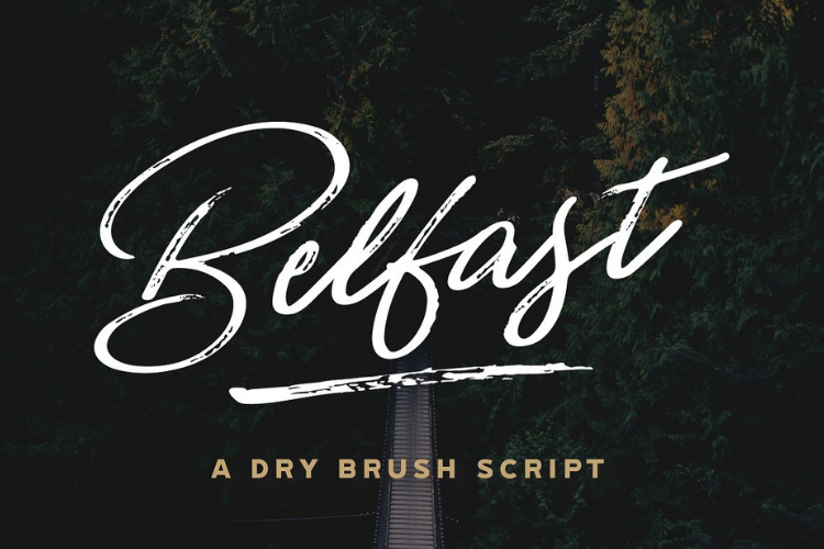 Belfast - A Dry Brush Script example image 1