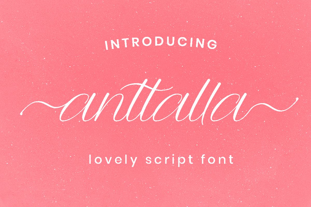 Anttalla script example image 1