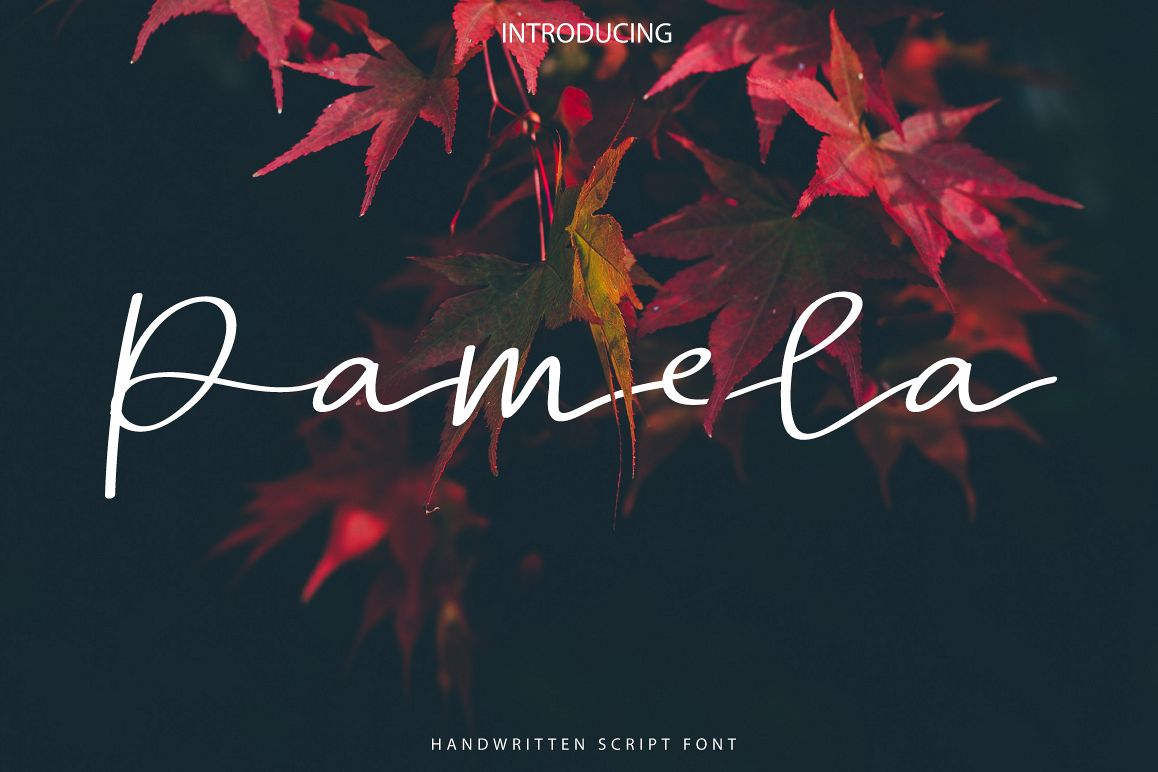 Pamela example image 1