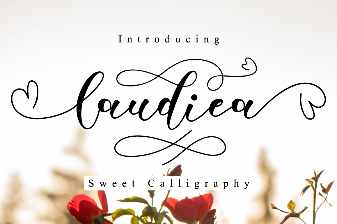 Laudiea Script example image 1