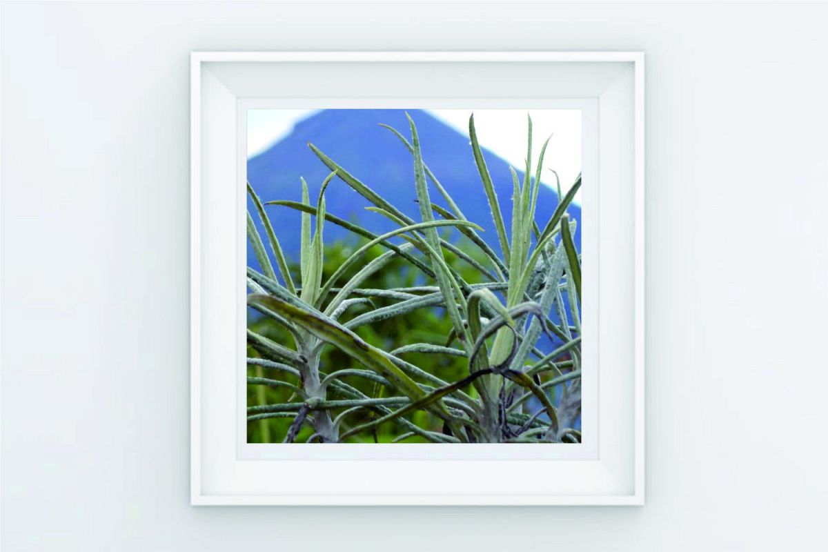FRAME POSTER WATER DROP MORNING example image 1